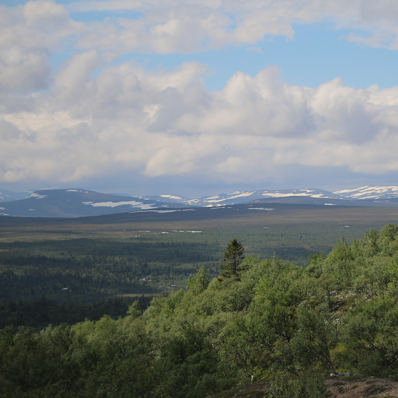 Foto: Stefan Lundstedt