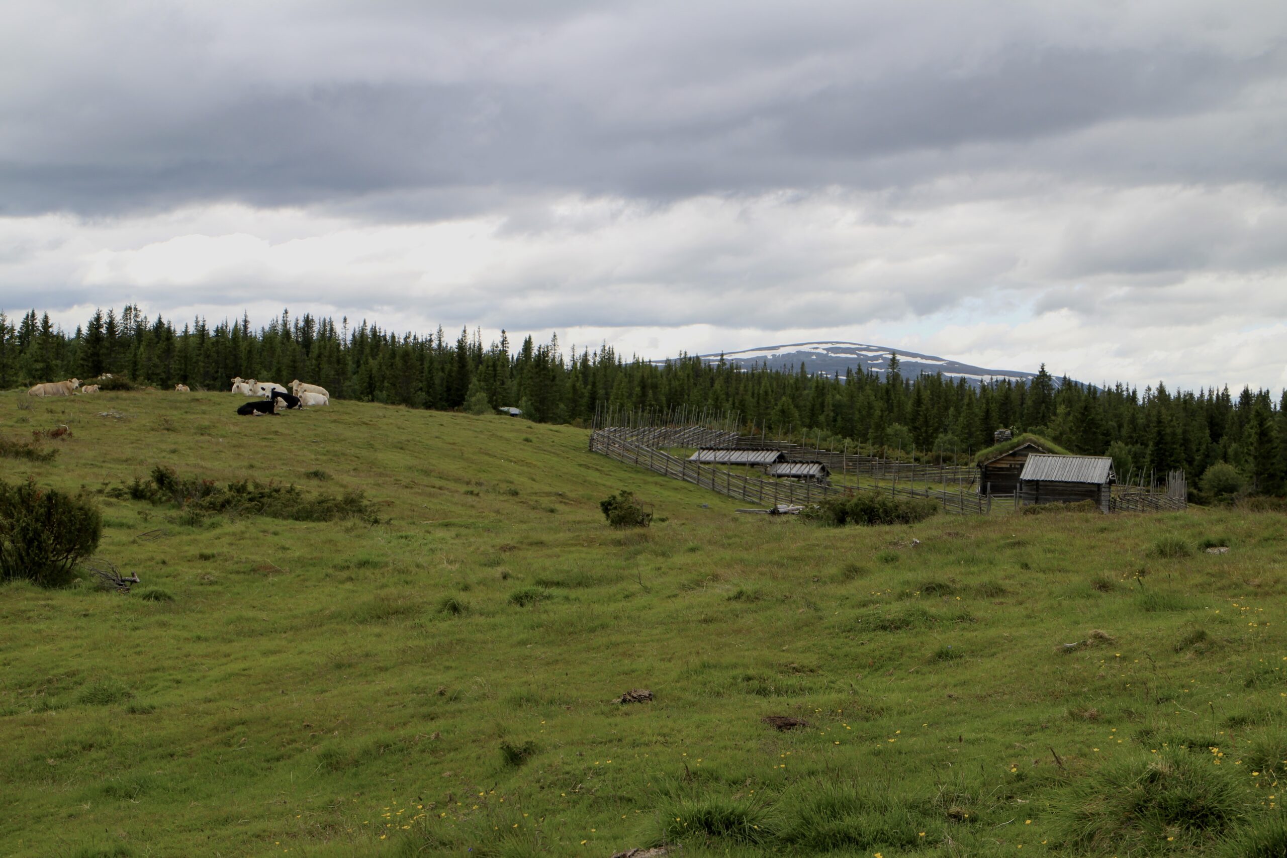 IMG_4947 IMG_4947