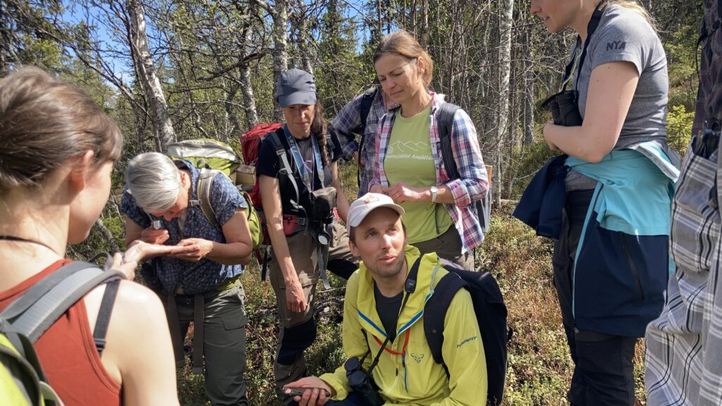 Jämtlands skogsgrupp driver projektet Vandra fjällnära